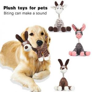 Myshop1 ציוד לכלבים וחתולים Bite Resistant Dog Chew Toys Cleaning Teeth Toys Puppy Toys Toothbrush