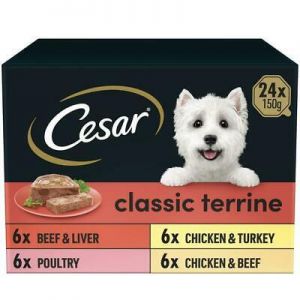 Myshop1 אוכל לכלבים וחתולים 24 x 150g Cesar Classics Dog Food Trays